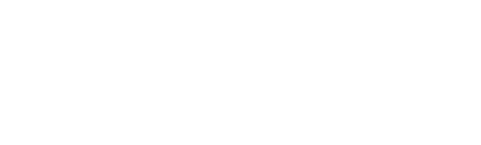 Sanlam Home Loans White Logo