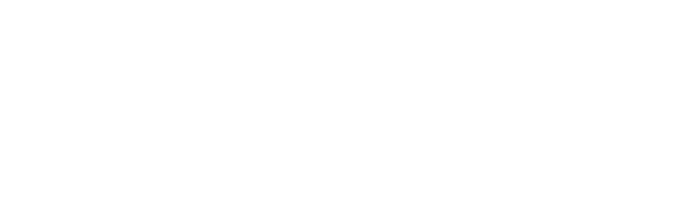 PropFlow White Logo