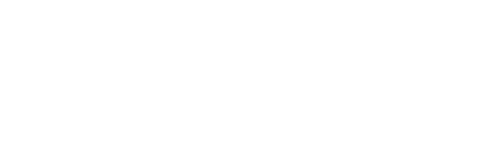 Connect Property Finance White Logo