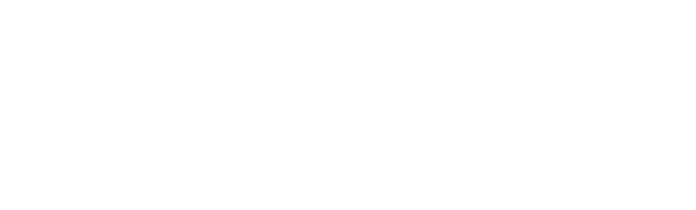 Sboshi Home Loans White Logo