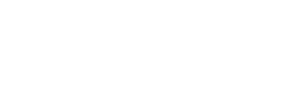 MoreSa Bonds Finance White Logo