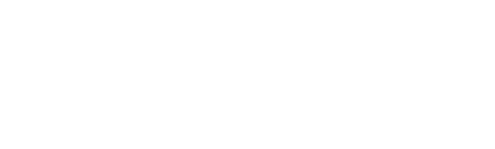 SOA Property Finance White Logo