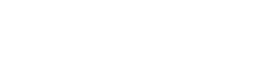 Nexa Bonds White Logo