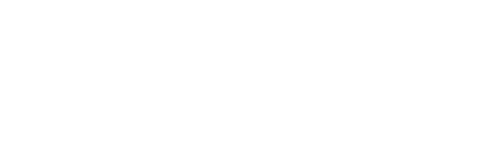 CAPEX Mortgages White Logo